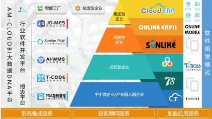 天心天思Sunlike ERP系统实施过程中的常见问题和解决方案