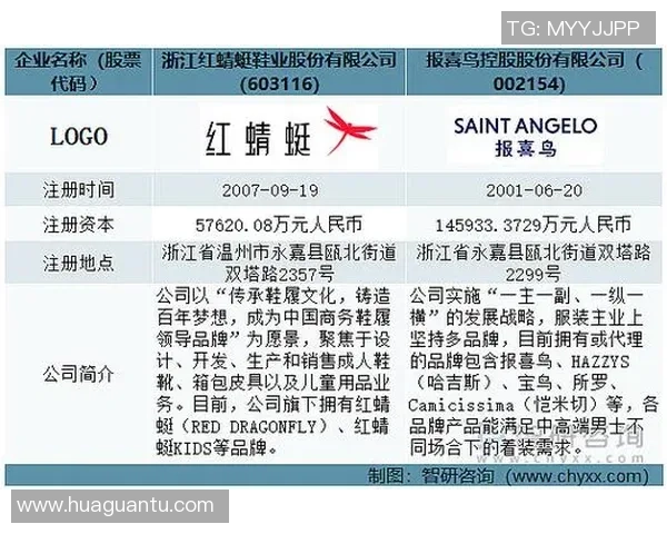 北京羽毛球队个人能力深度对比分析与未来发展趋势探讨